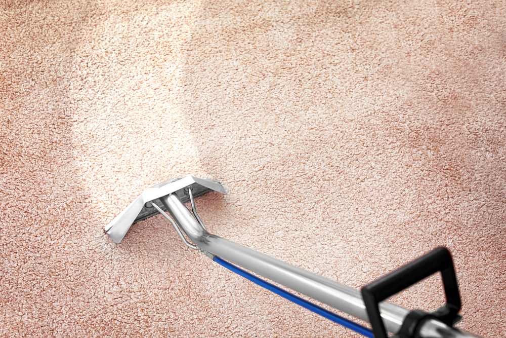 Carpet bleach stains